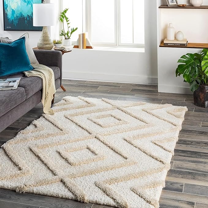 Cozeen Shaggy Carpet & Rug